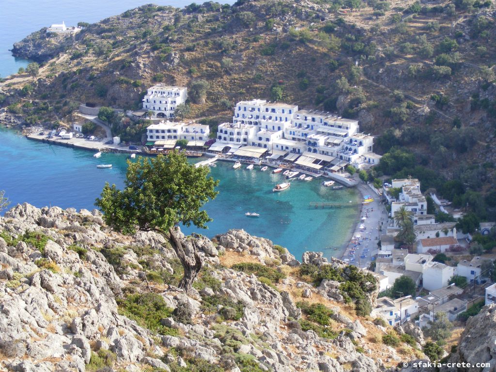 Photo report of two mountain walks in Sfakia, Crete, June 2008